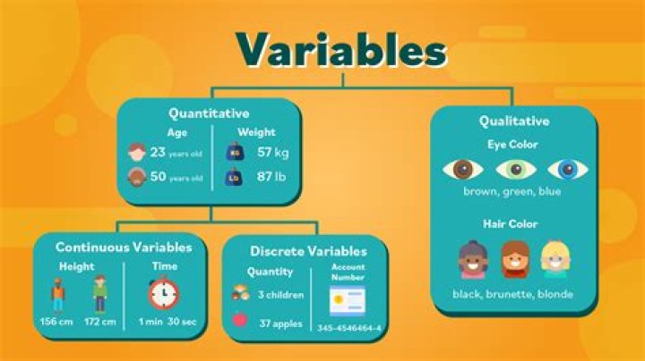 How do you use member variables in C++?