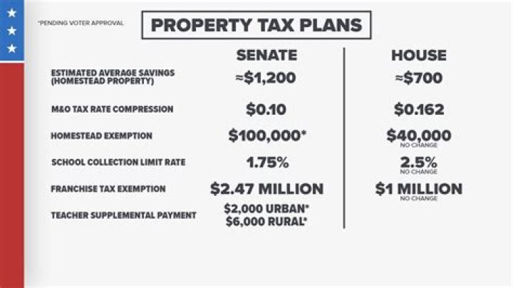 How long can you go without paying property taxes in Texas?