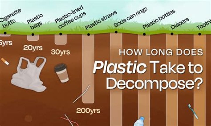 How long does it take litter to decompose?