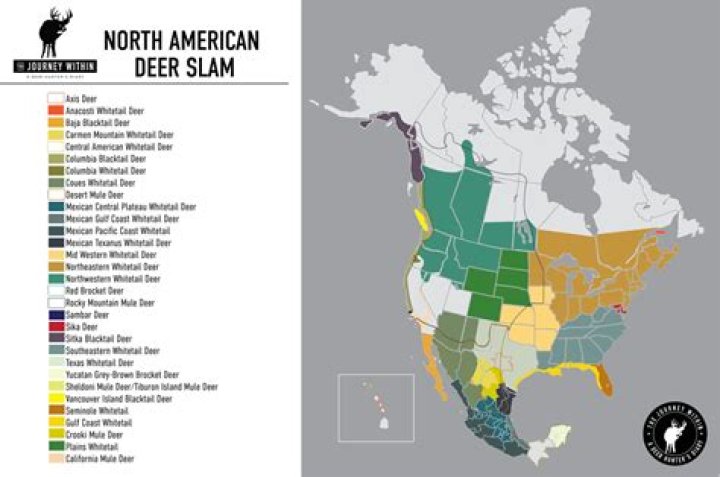 How many hunters have completed the Super Slam?