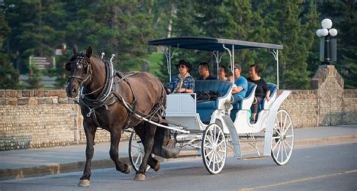 How much does a carriage ride cost in St Augustine?