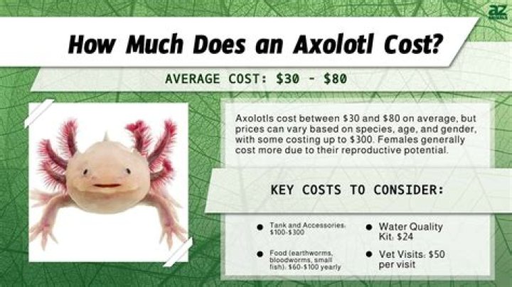 How much does a furling boom cost?