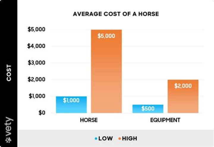 How much does a half lease on a horse cost?