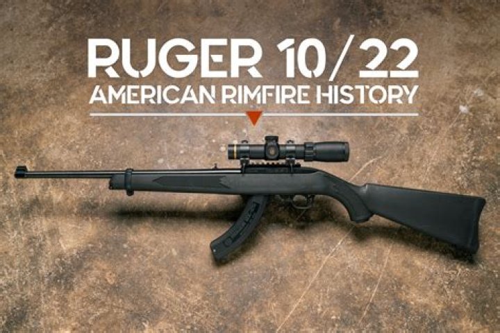 How much does a Ruger 1022 takedown cost?