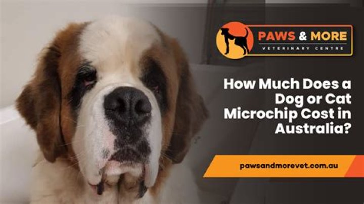 How much does it cost to Desex a male cat in NSW?