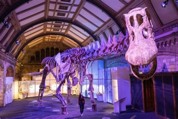 How much does it cost to get in the Natural History Museum?