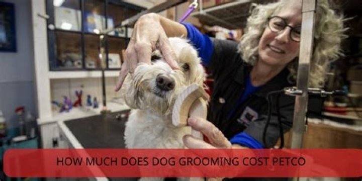 HOW MUCH DOES Petco charge for dog grooming?