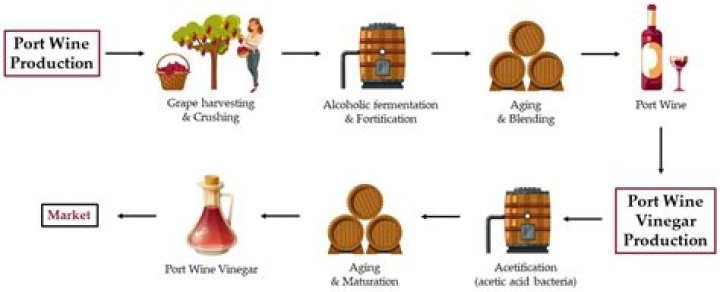 How much does port wine cost?