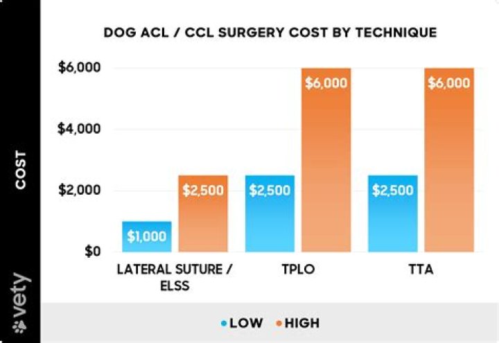 How much does soft palate surgery cost for dogs?