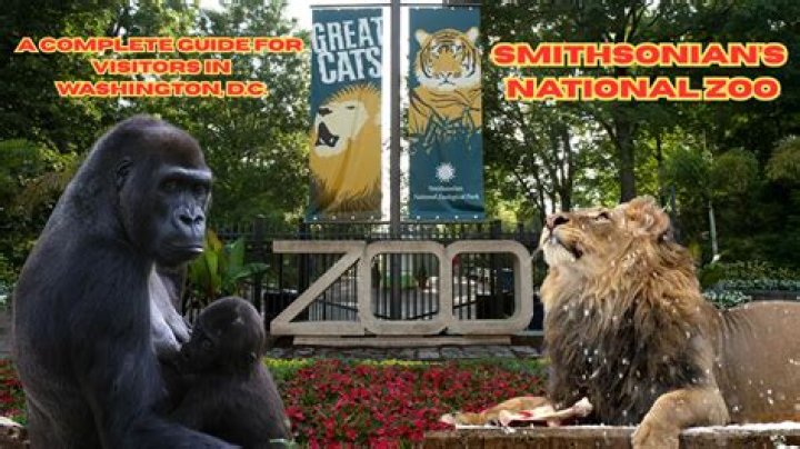 How much is parking at the National Zoo?