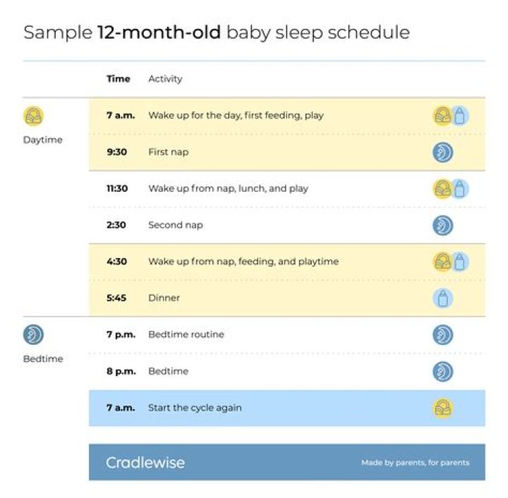 How much should a 12 month nap?