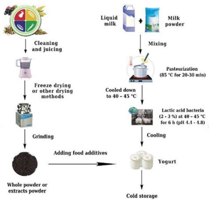 How name of process do bacteria make yogurt?