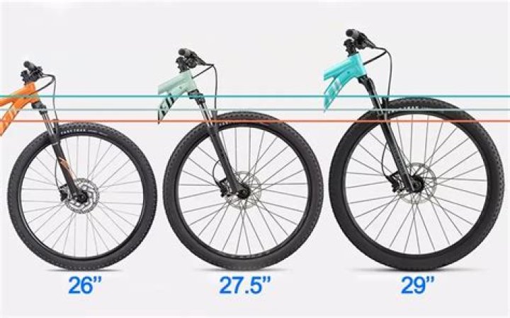 How tall should you be to ride a 29er?