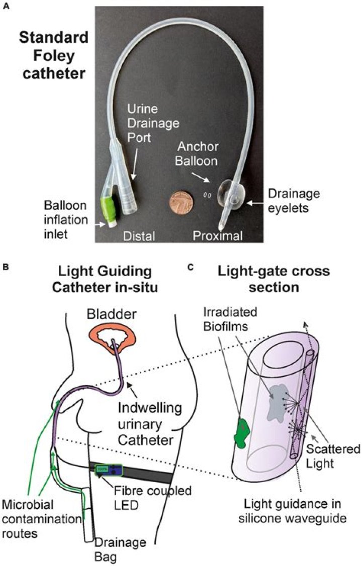 How to care for an indwelling Foley catheter?