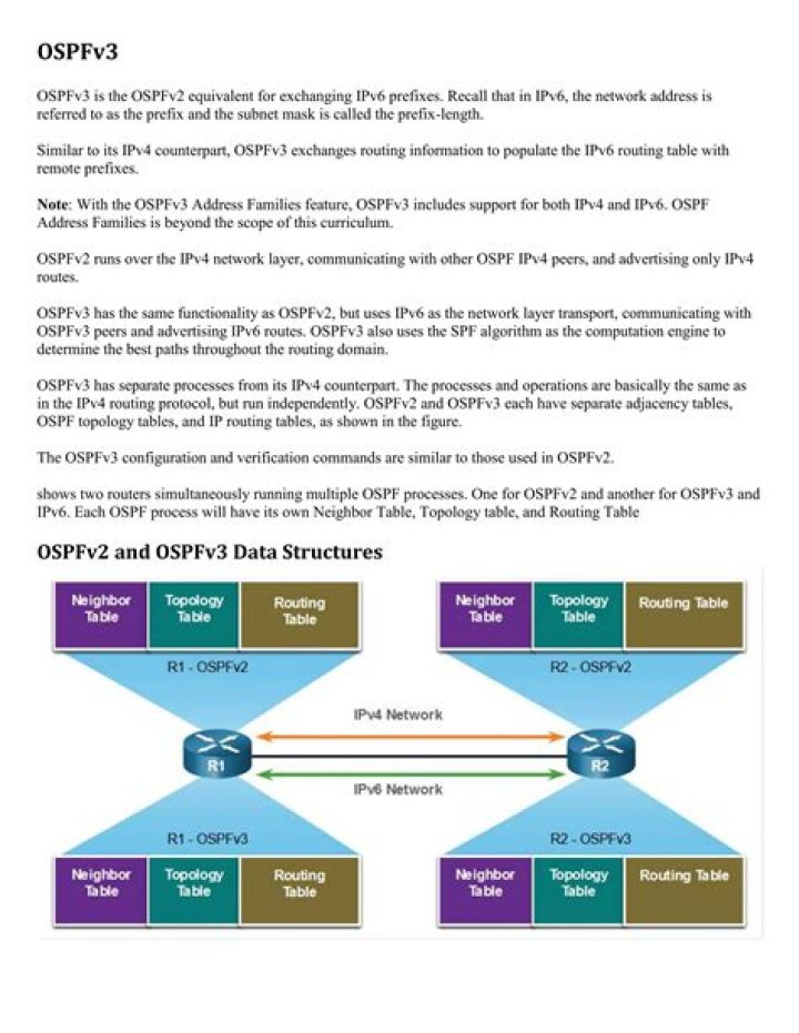 In which ways is OSPFv2 similar to OSPFv3?