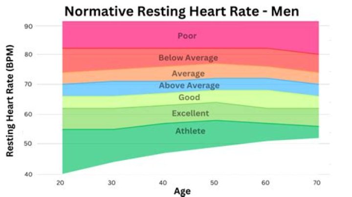 Is 147 bpm a boy or girl?