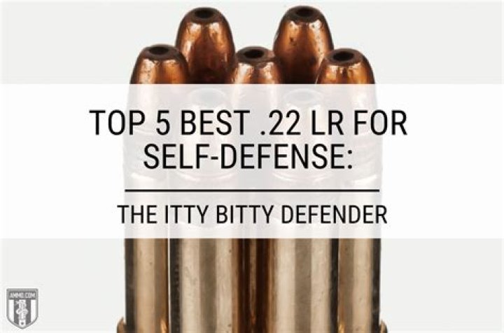 Is 22 good enough for self defense?