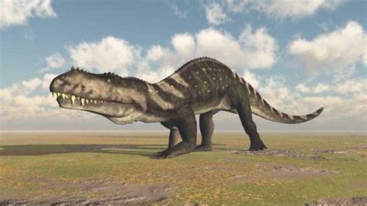 Is an Archosaur a dinosaur?