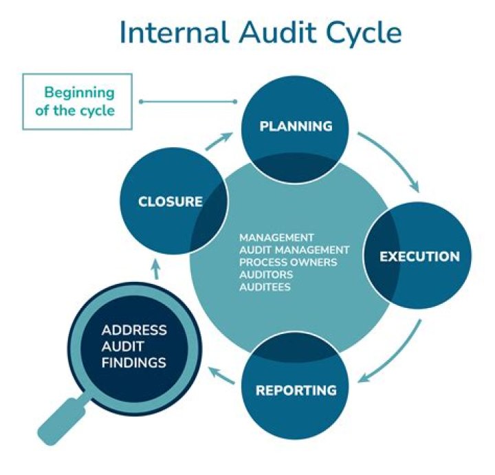 Is COBIT used for auditing?