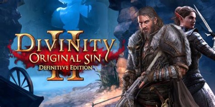 Is Divinity Original Sin single player?