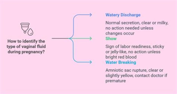 Is it normal to discharge water during pregnancy?