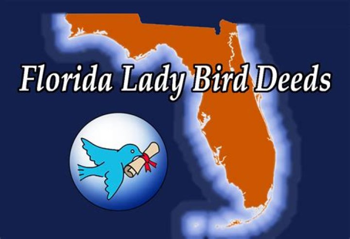 Is Lady Bird deed a good idea?