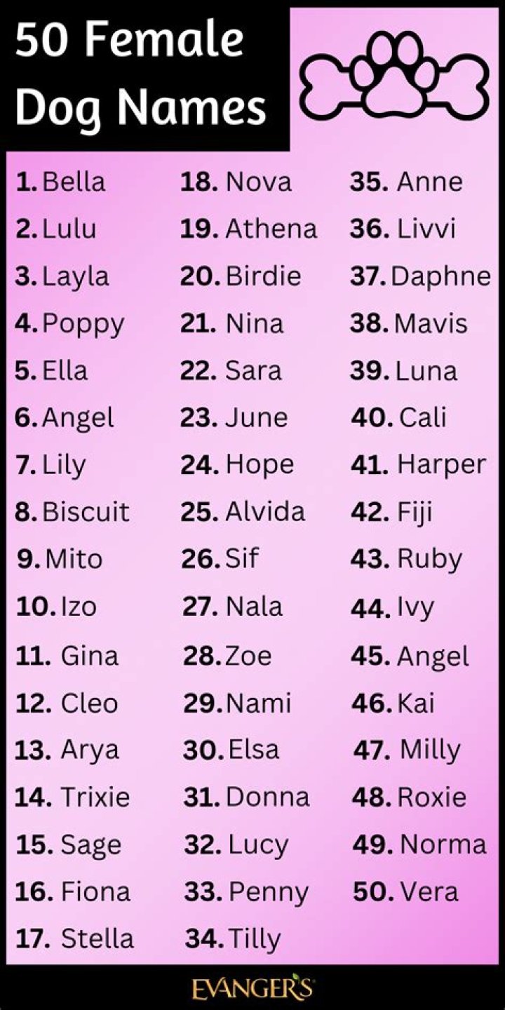 Is Lennon a good name for a dog?