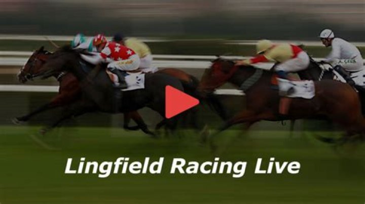 Is Lingfield racing on TV?