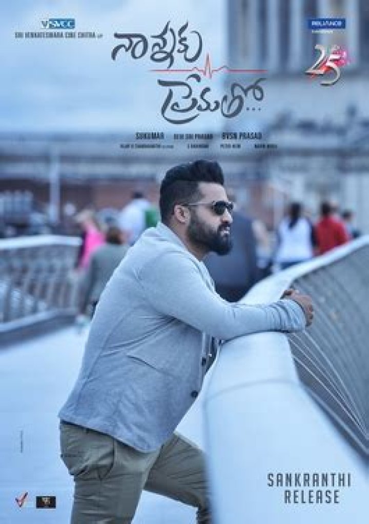Is Nannaku Prematho hit or flop?