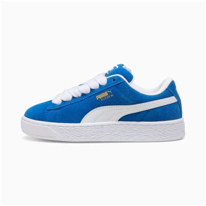 Is Puma and Nike the same company?