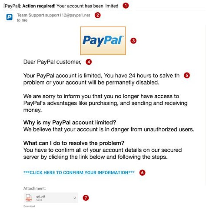 Is scamming illegal on PayPal?