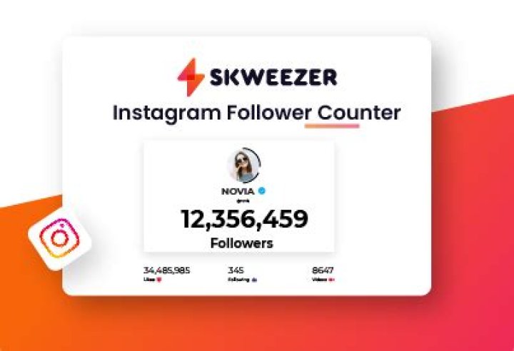 Is Skweezer safe for Instagram followers?