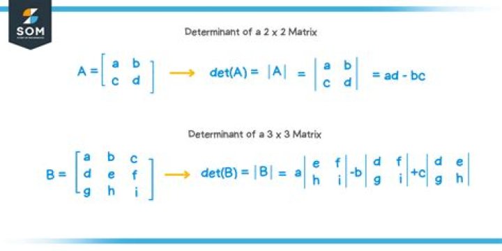 Is the determinant of a matrix linear?