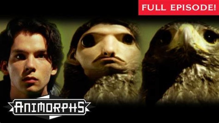 Is there an Animorphs movie?