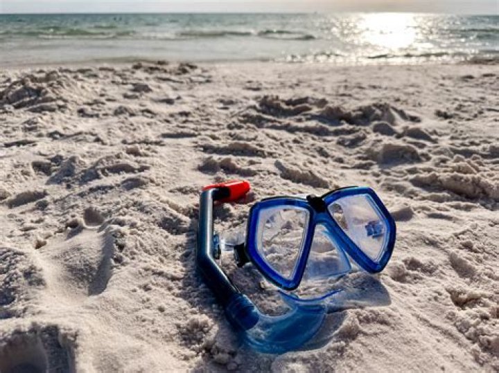 Is there any good snorkeling in Florida?