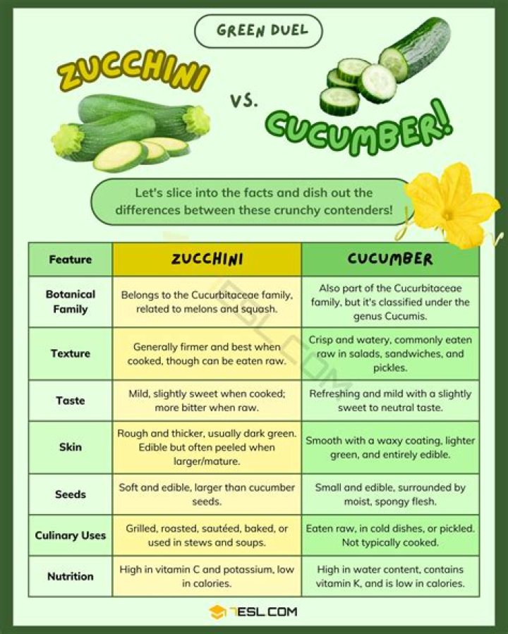 Is zucchini and courgette the same?
