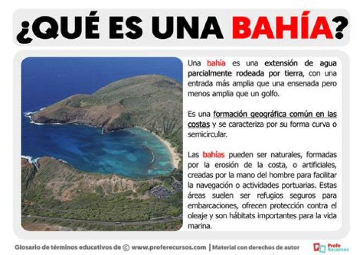 Que significa la palabra bivalvo?