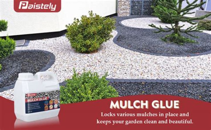 Should I glue my RC tires?