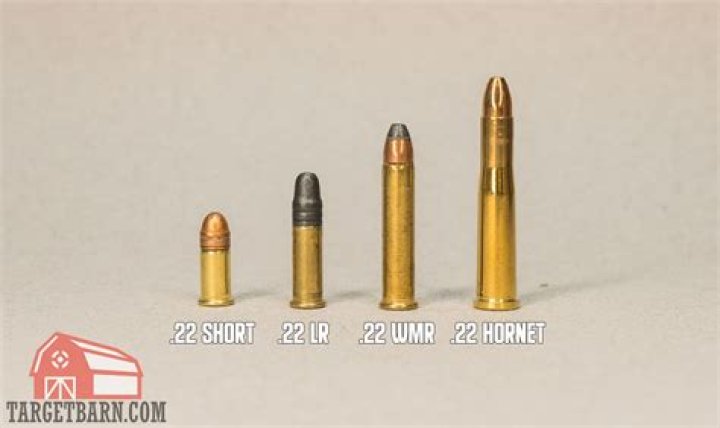What ammo does a 22 Hornet use?
