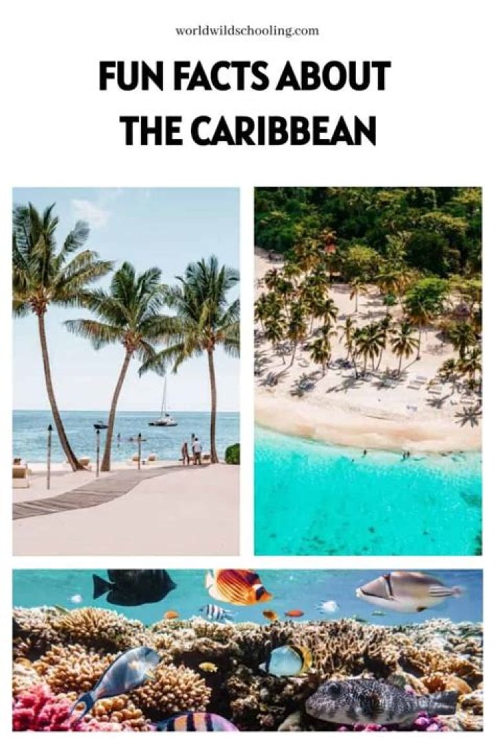 What are 3 facts about the Caribbean Sea?