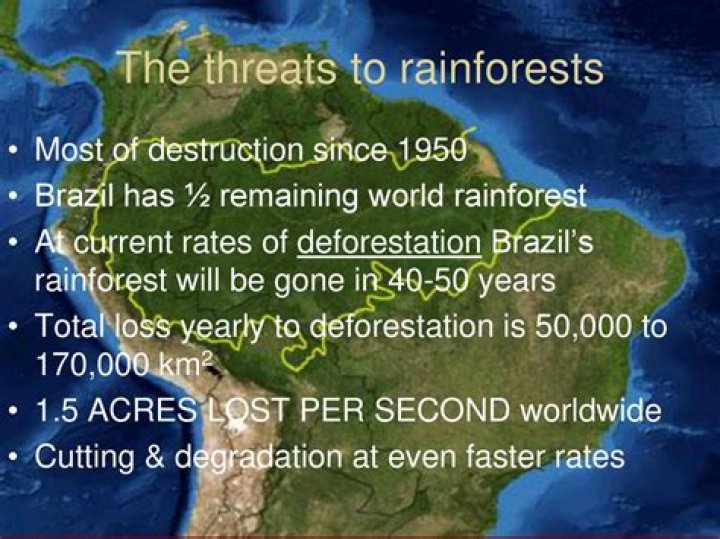 What are 3 threats to the rainforest?