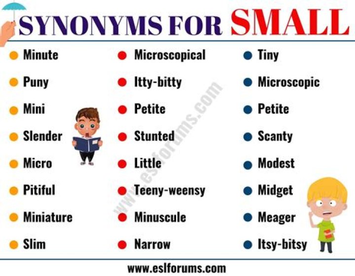 What are 5 synonyms for small?