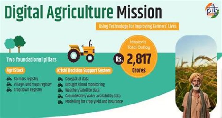 What are allied services in agriculture?