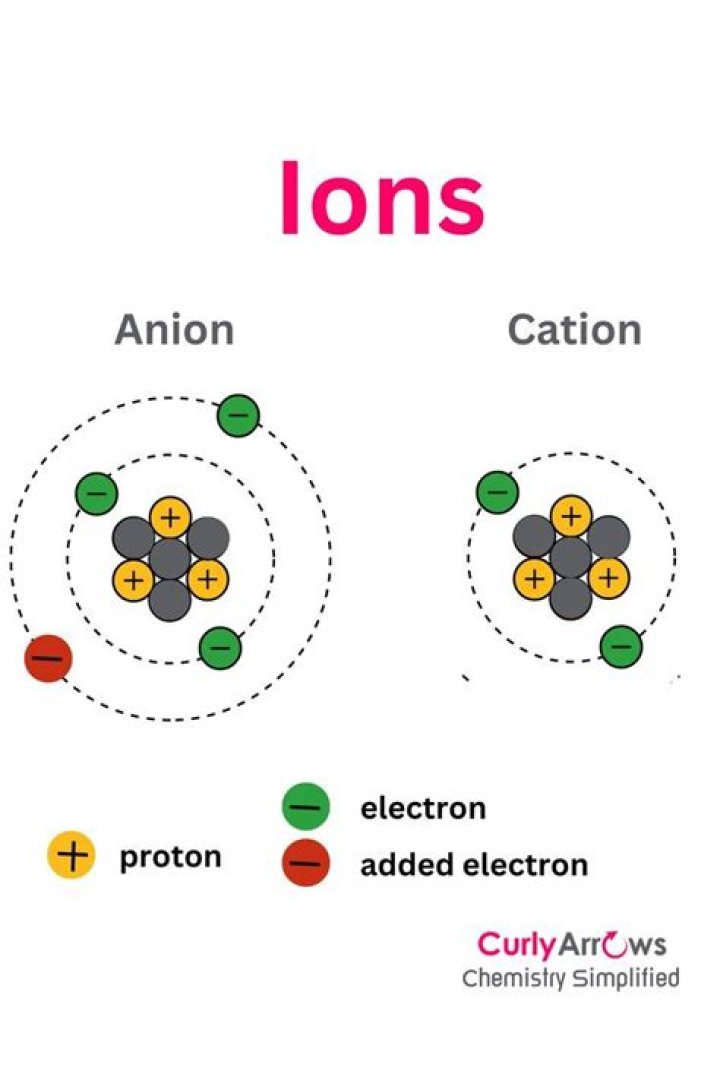 What are B ions and Y ions?