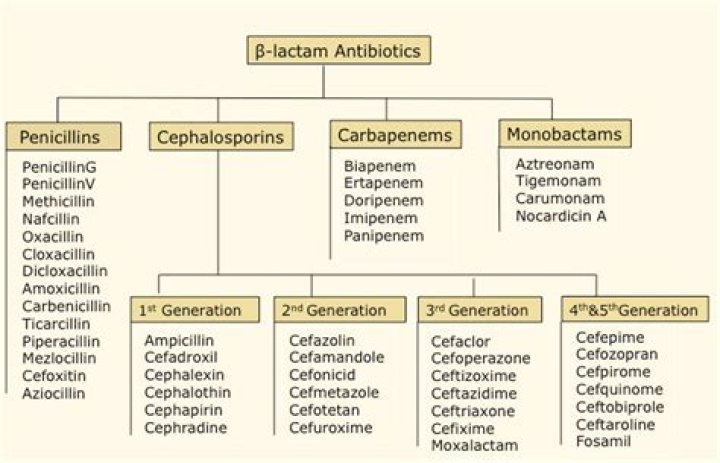 What are beta-lactam antibiotics examples?