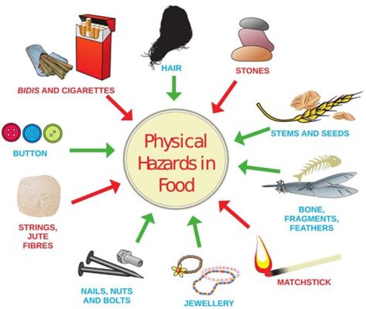 What are biological physical and chemical hazards?