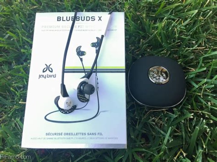 What are bluebuds X?