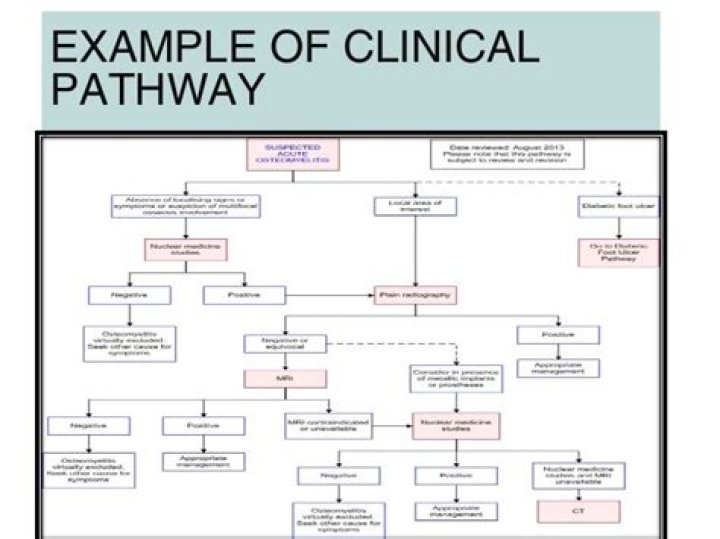 What are clinical pathways in healthcare?