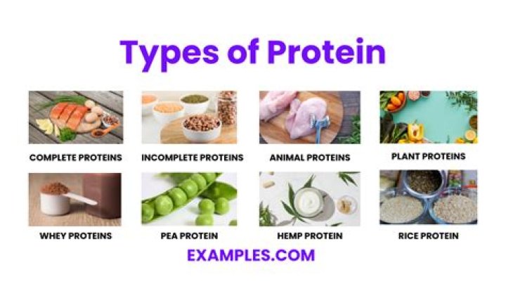 What are examples of binding proteins?