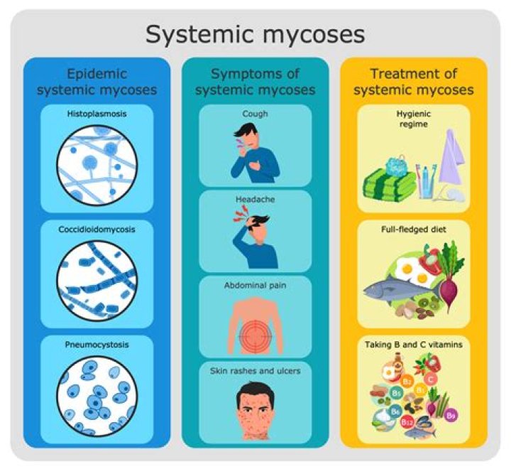 What are examples of mycotic infections?